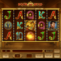 HiddenJack - Book of Dead Slot - Casino Game